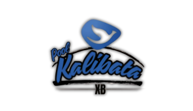 Loker Supir Online di Bluebird Group (Pool Kalibata)